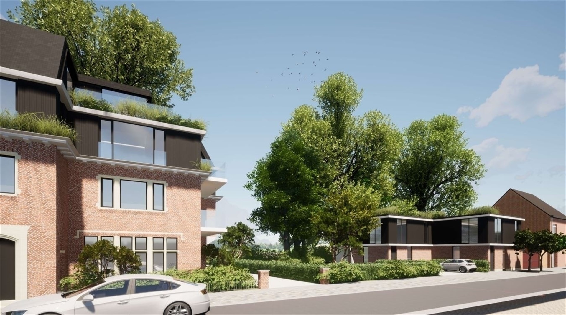 Project te koop in Wetteren - foto 5