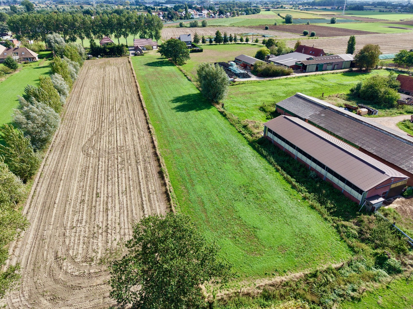 Ruime en uiterst goed onderhouden open bebouwing op een uitzonderlijk ruim perceel in Sleidinge - foto 5