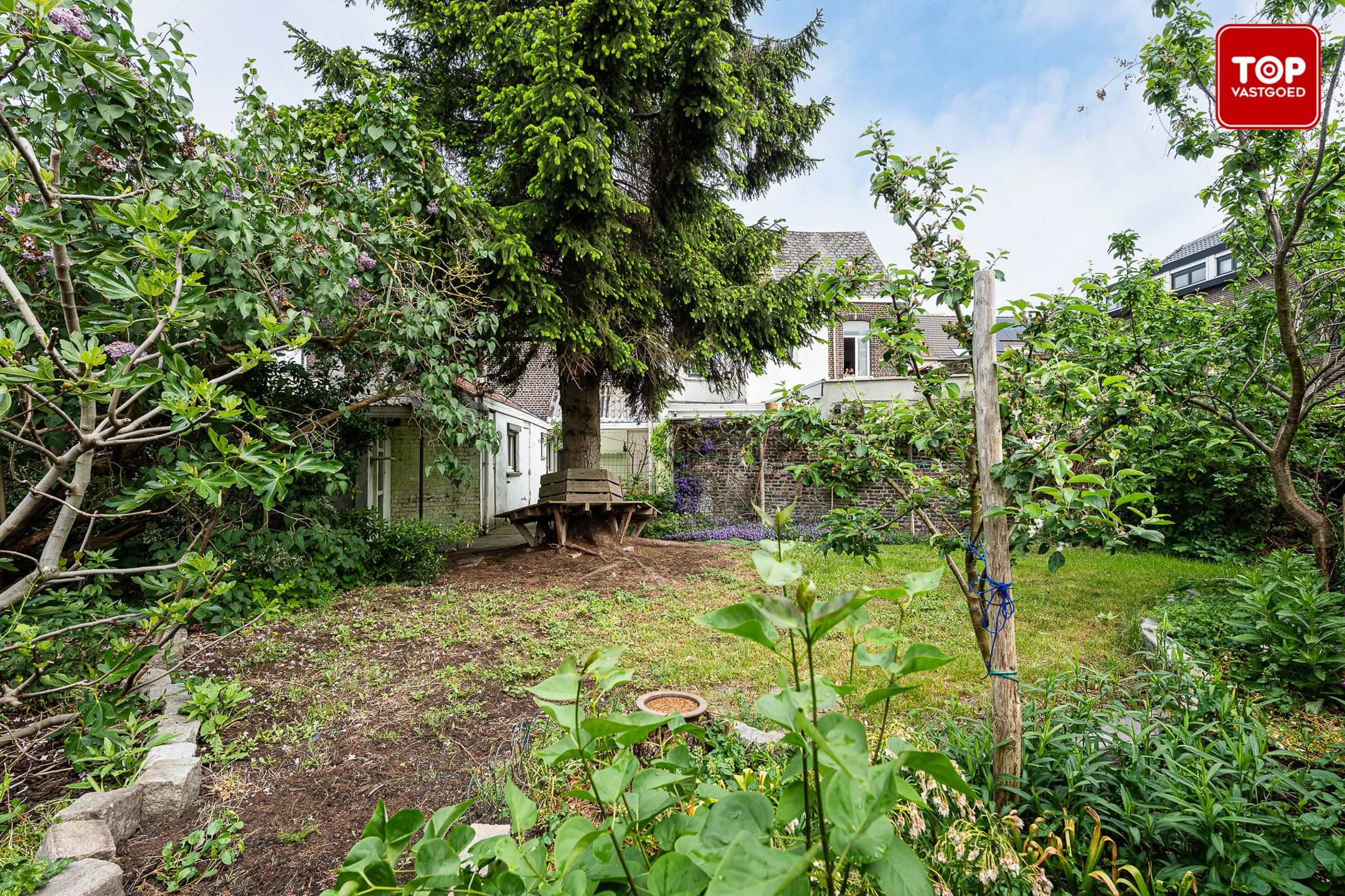 Woning met 3 slaapkamers en leuke tuin op toplocatie. - foto 2