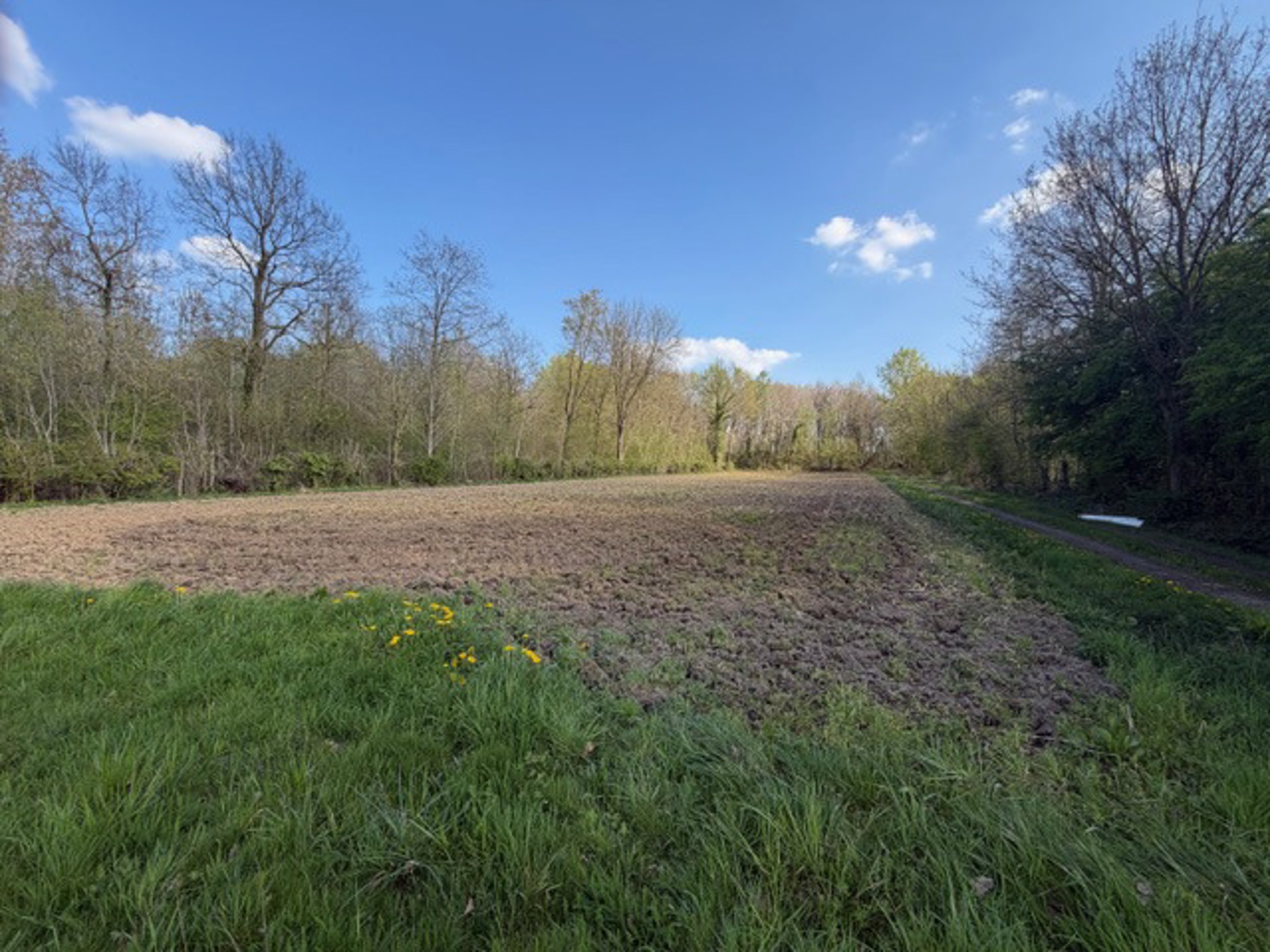 Terrain à vendre à Glabbeek - photo 1