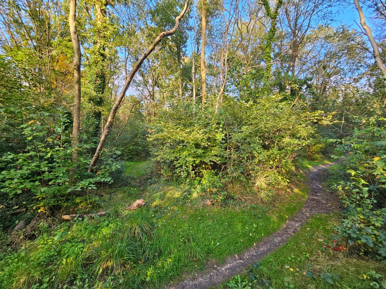 Land for sale in Rijmenam - photo 2