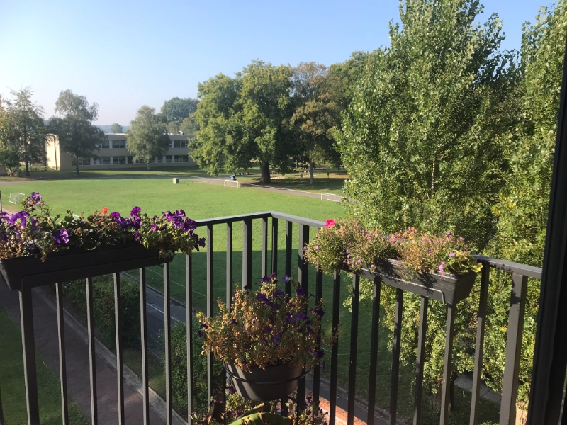 Appartement in Eeklo
