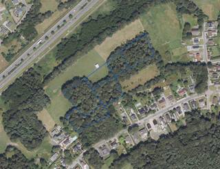 Genk - Gelieren, 6 percelen in natuurgebied, weide en bos (totaal: 2,4 ha) grenzende aan woonzone in de Schepersweg, Heufstraat en Erkebosstraat.Bent...