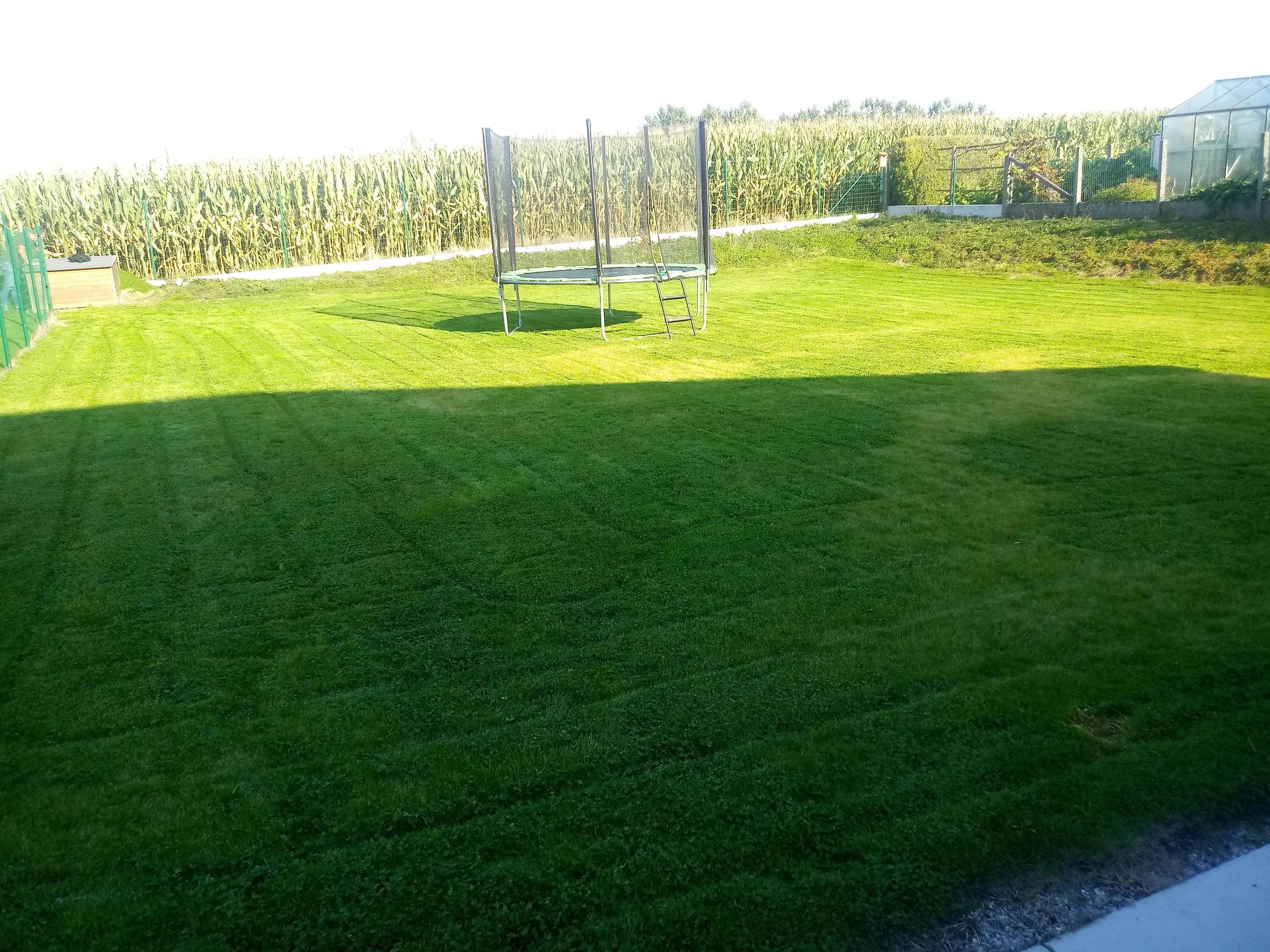 Appartement à louer à Lierde avec 3 chambres - photo 5