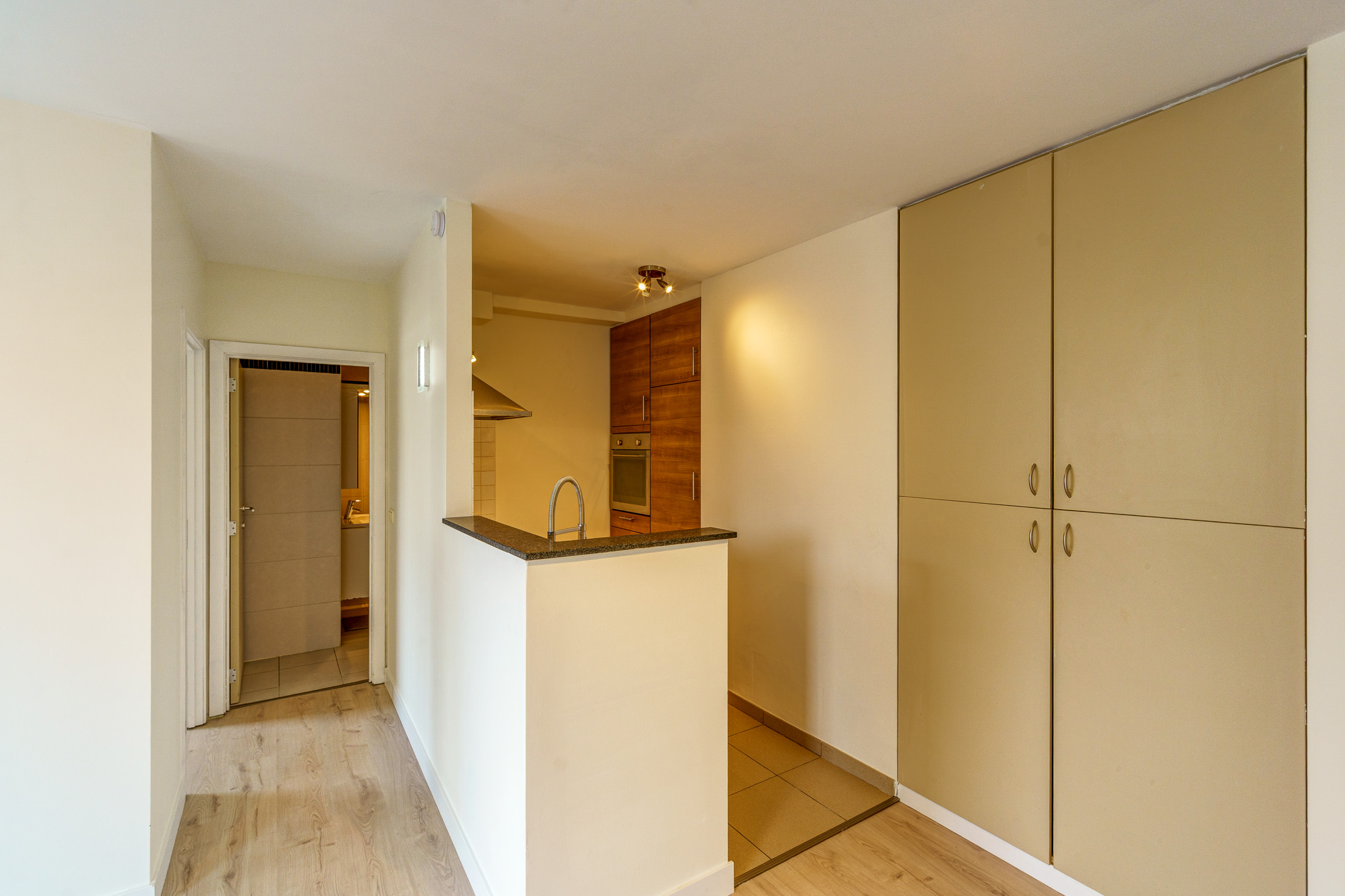 1 slk appartement op toplocatie 't Eilandje Antwerpen - foto 4