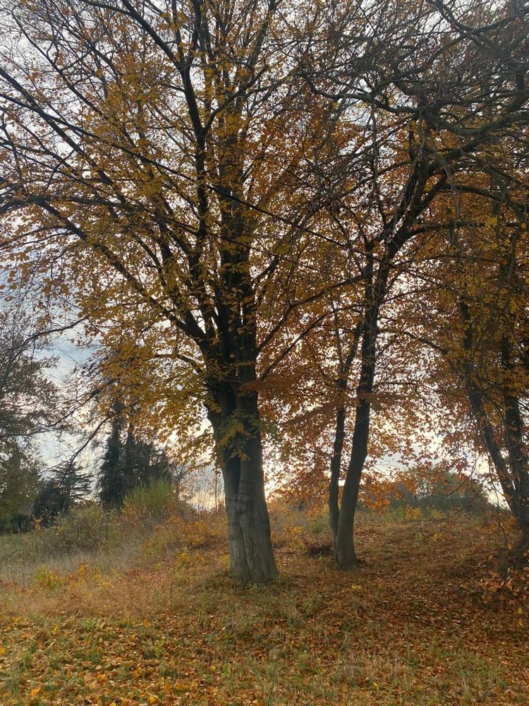 Lot 04 Bouwgrond voor een open bebouwing in Herent te koop - foto 1