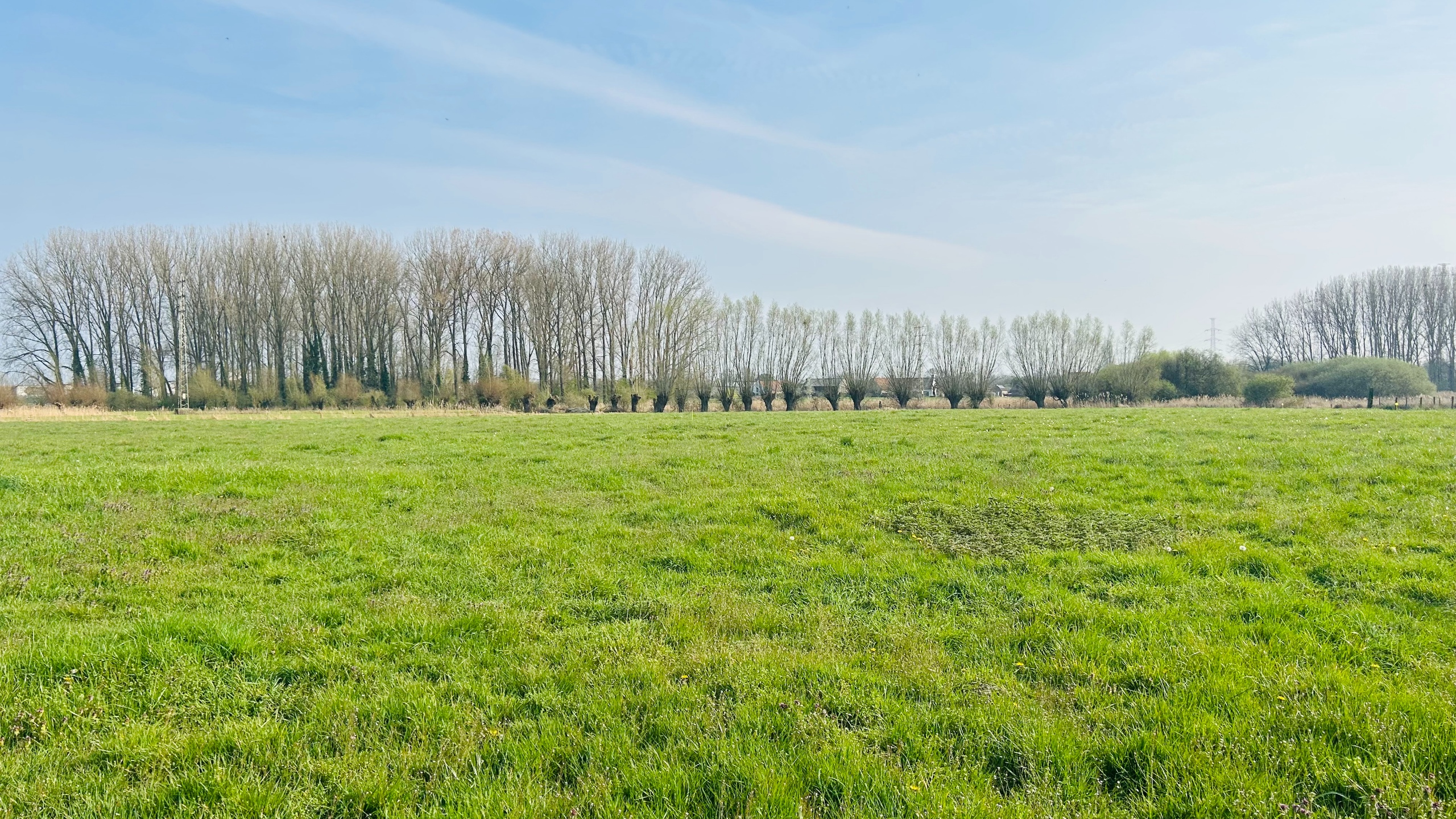 Prachtig gelegen stuk grond van 14.895 te Deerlijk - foto 1