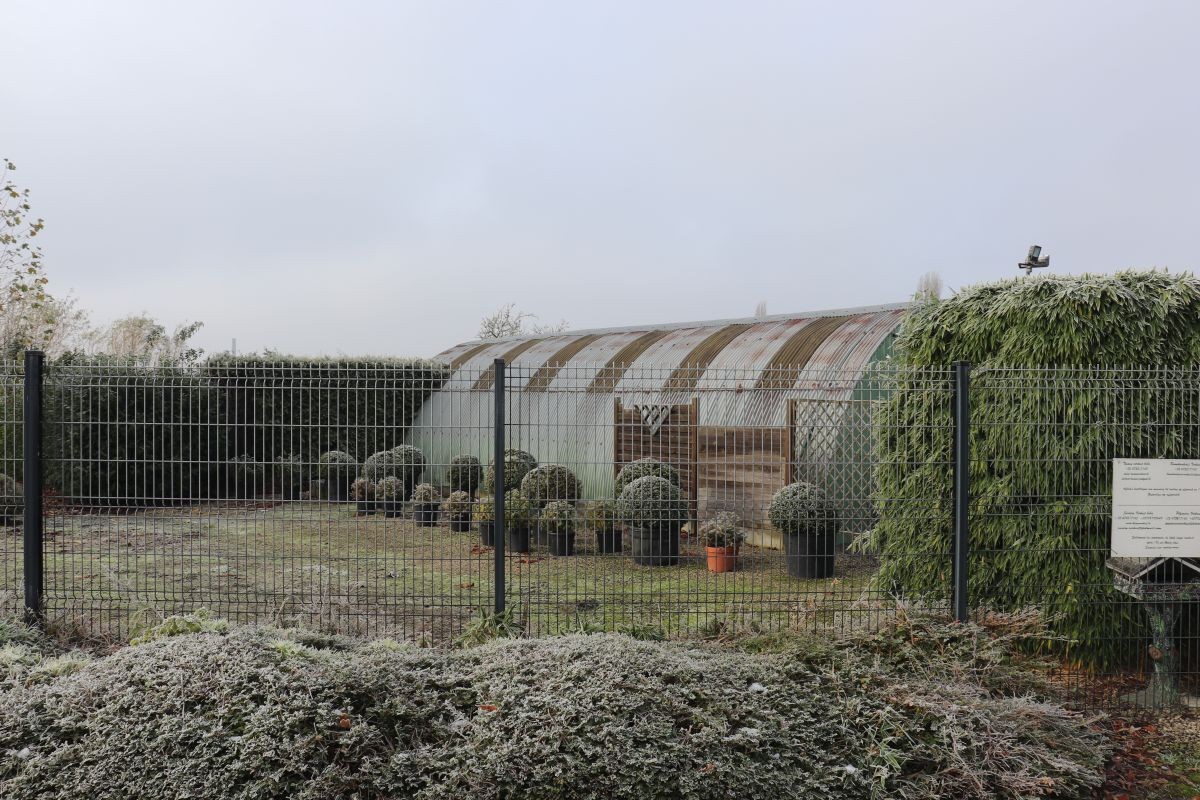 Commercial for sale in Zwevegem - photo 1