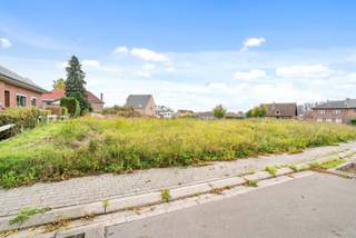 Het perceel is gelegen op een rustige locatie in Lembeek in de residentiële wijk "Kriekeveld".<br />De bouwgrond is een ideale uitvalsbasis met alle invalswegen richting Halle-Brussel.<br /><br />De bouwgrond heeft een oppervlakte van 5a 13ca en is bestemd tot het bouwen van een open bebouwing met volgende voorschriften:<br /><br />Grondoppervlakte: 5a 13ca<br />Perceelsbreedte: 17,50m<br />Perceesdiepte: 37,50m<br />Kroonlijsthoogte: max. 5,80m<br /><br />De verkaveling is meer dan 15 jaar oud. Op basis daarvan is het mogelijk om af te wijken van de verkaveling.<br />Vraag extra informatie op via jari.penne@living-stone.be