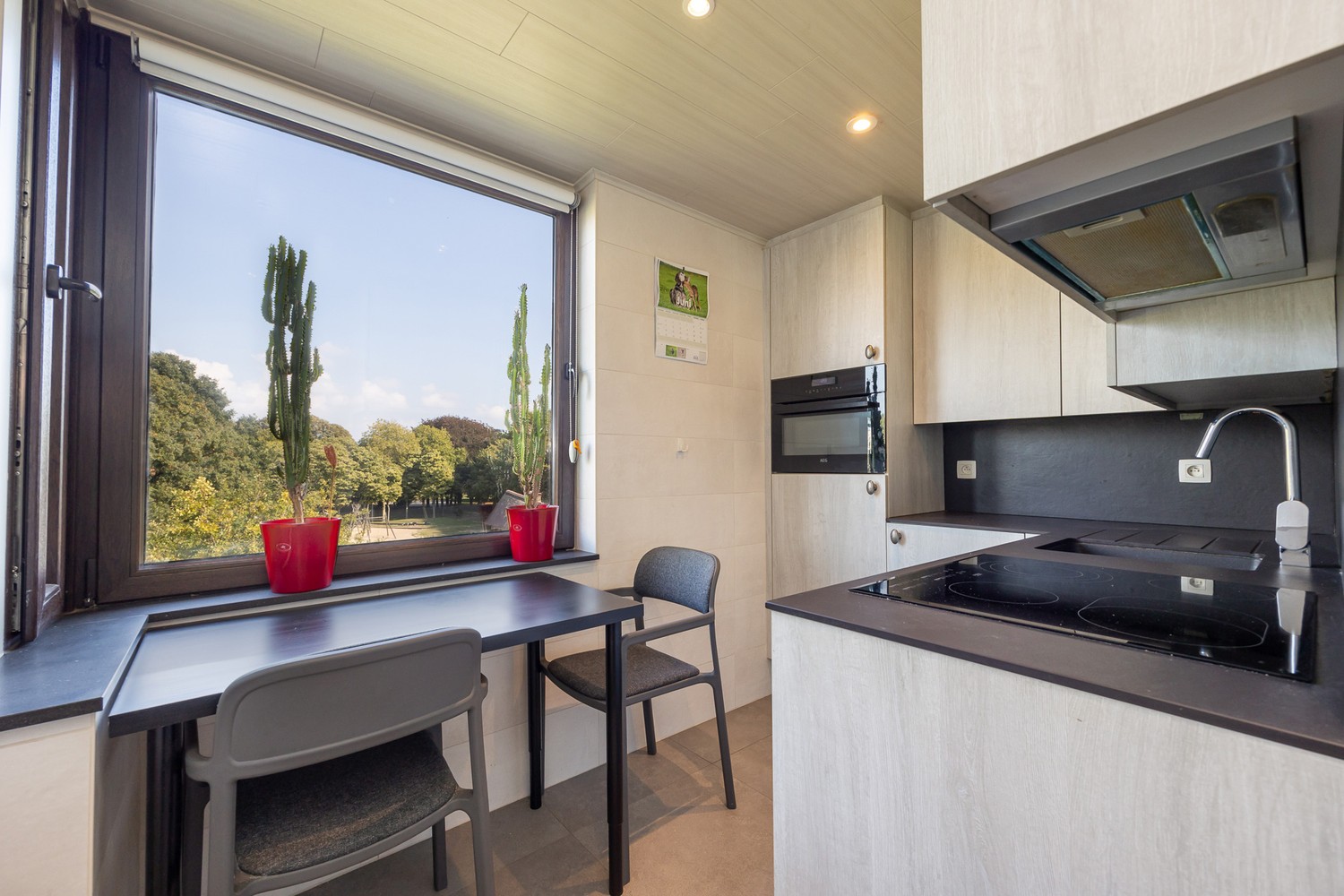 Appartement spacieux et lumineux avec vue sur le parc de Kiel - photo 5