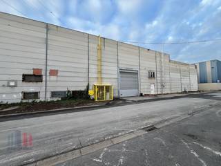 Fantastically located industrial building with a surface area of 6,543 m² for rent along and with visibility of the E17 in Sint-Niklaas, barely 2 km from exit 15 Sint-Niklaas centre. The warehouse with a clear height between 5 m (under beam) and 8 m is equipped with 1 loading dock, 1 sectional door, a polyconcrete floor and solar panels. Available from 01/05/2024. Possibility of short-term lease. The warehouse is part of a larger site with a very spacious outdoor area! Contact PANORAMA for additional information or a no-obligation site visit 09 225 09 09.
