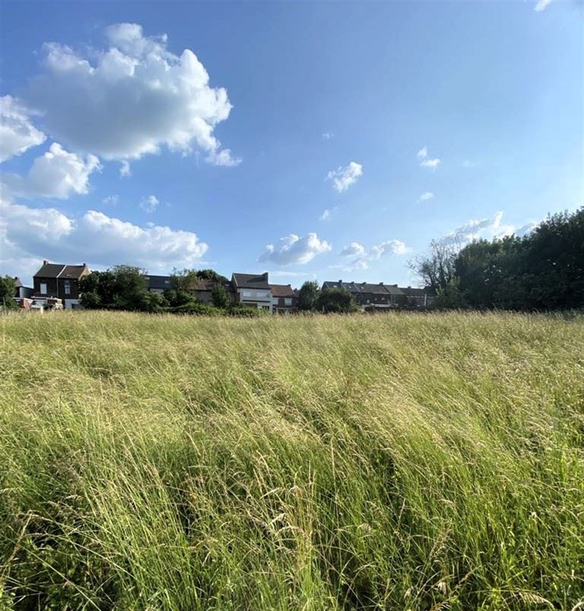 Grond te koop in Jumet - foto 5