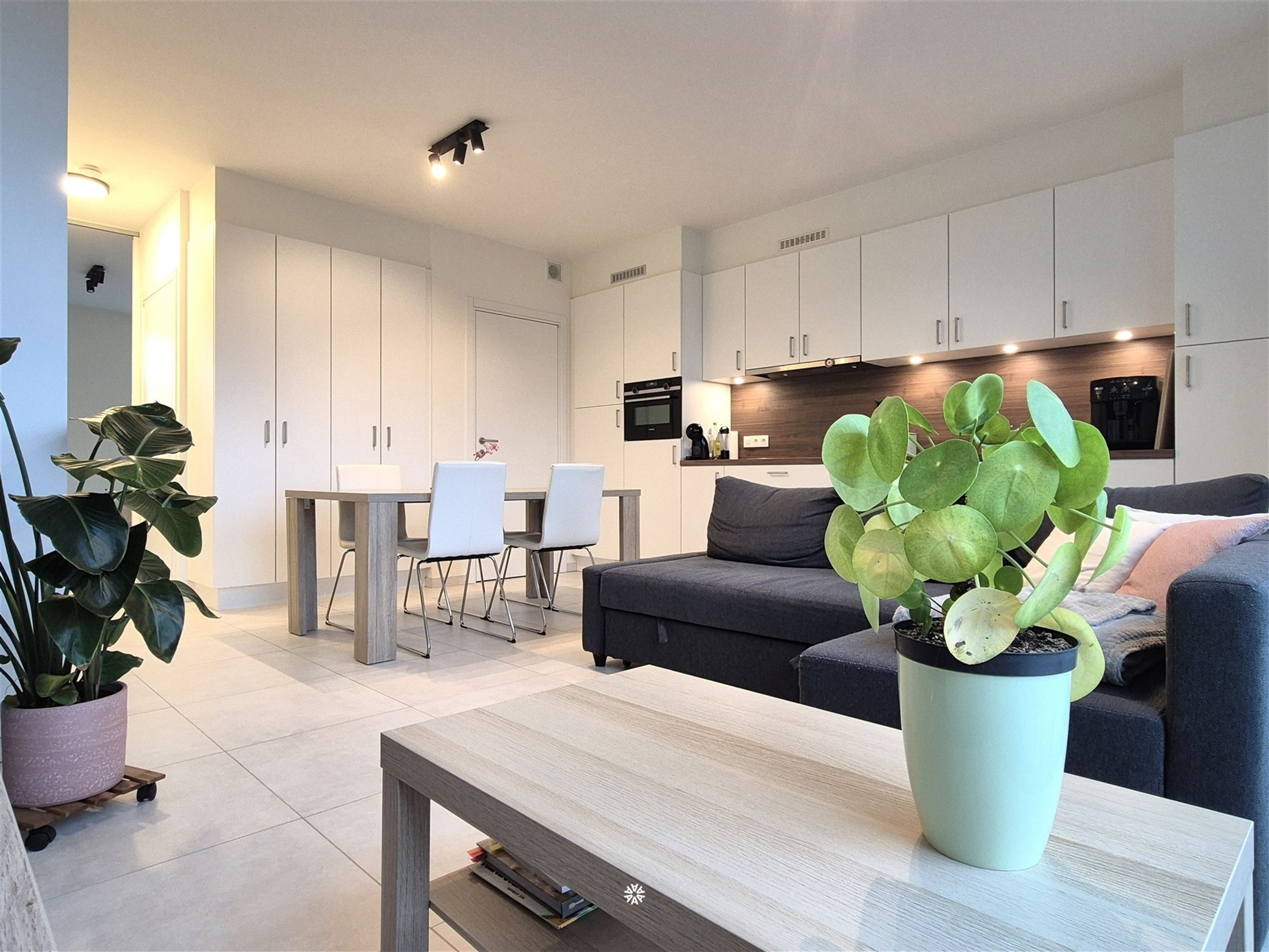 Apartment for rent in Nieuwkerken-Waas with 1 bedroom - photo 3