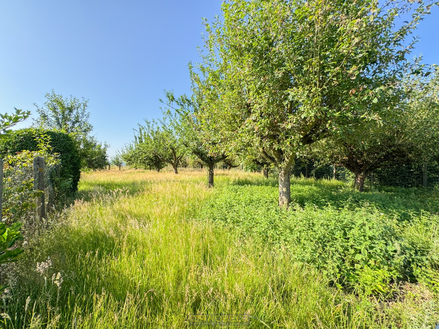 Te koop, prachtig gelegen bouwgrond met verzicht op centrale ligging te Wortegem-Petegem - foto 5