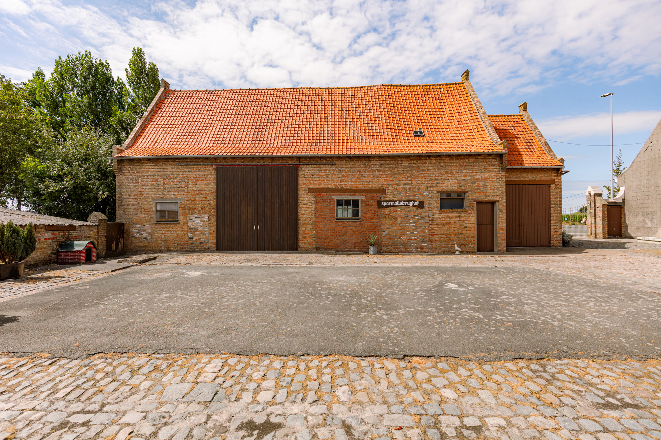 Vierkantshoeve met 4 schuren op 6.496 m² + optie weiland - foto 5
