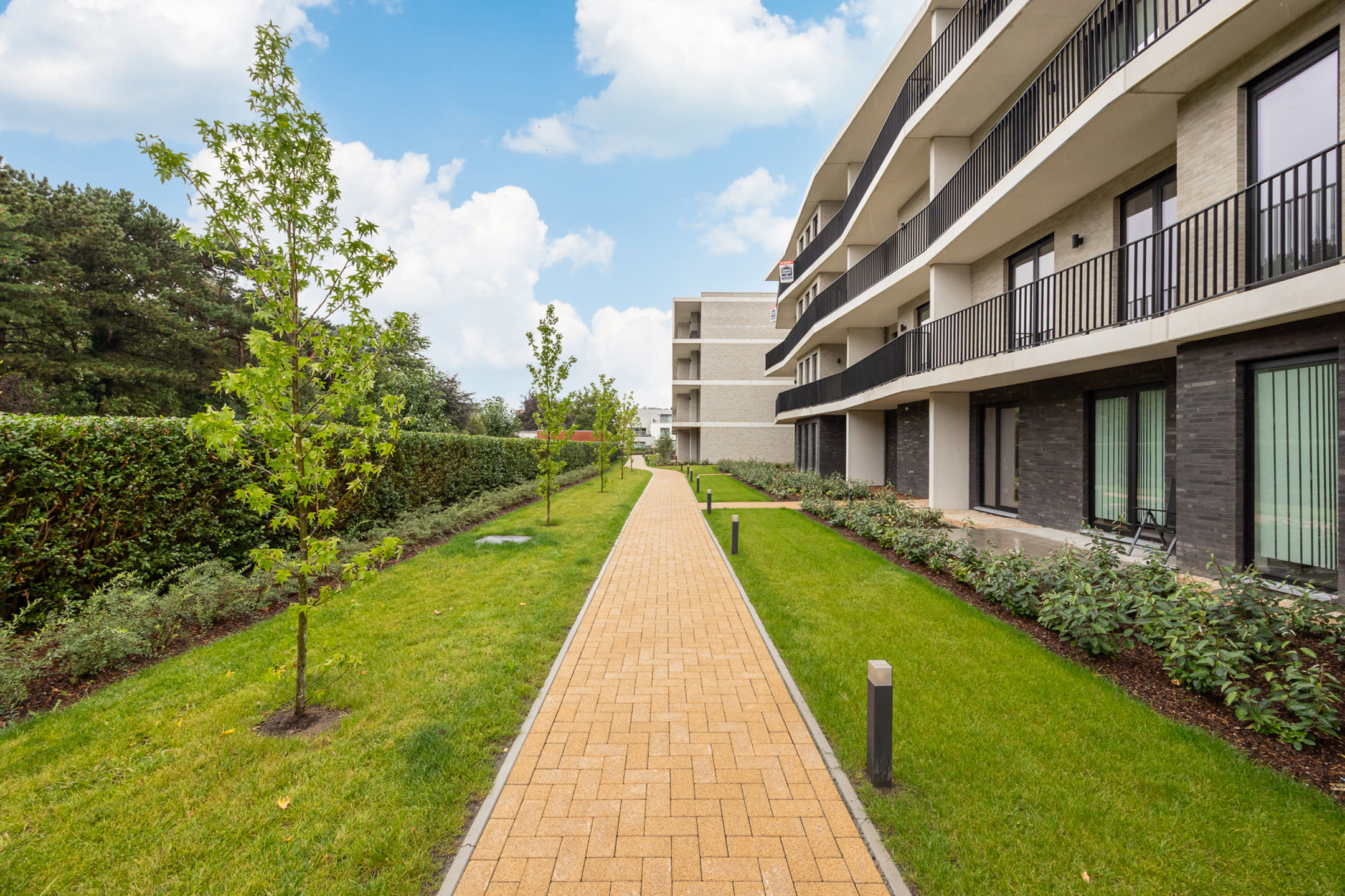 Projet à vendre à Oud-Turnhout - photo 5