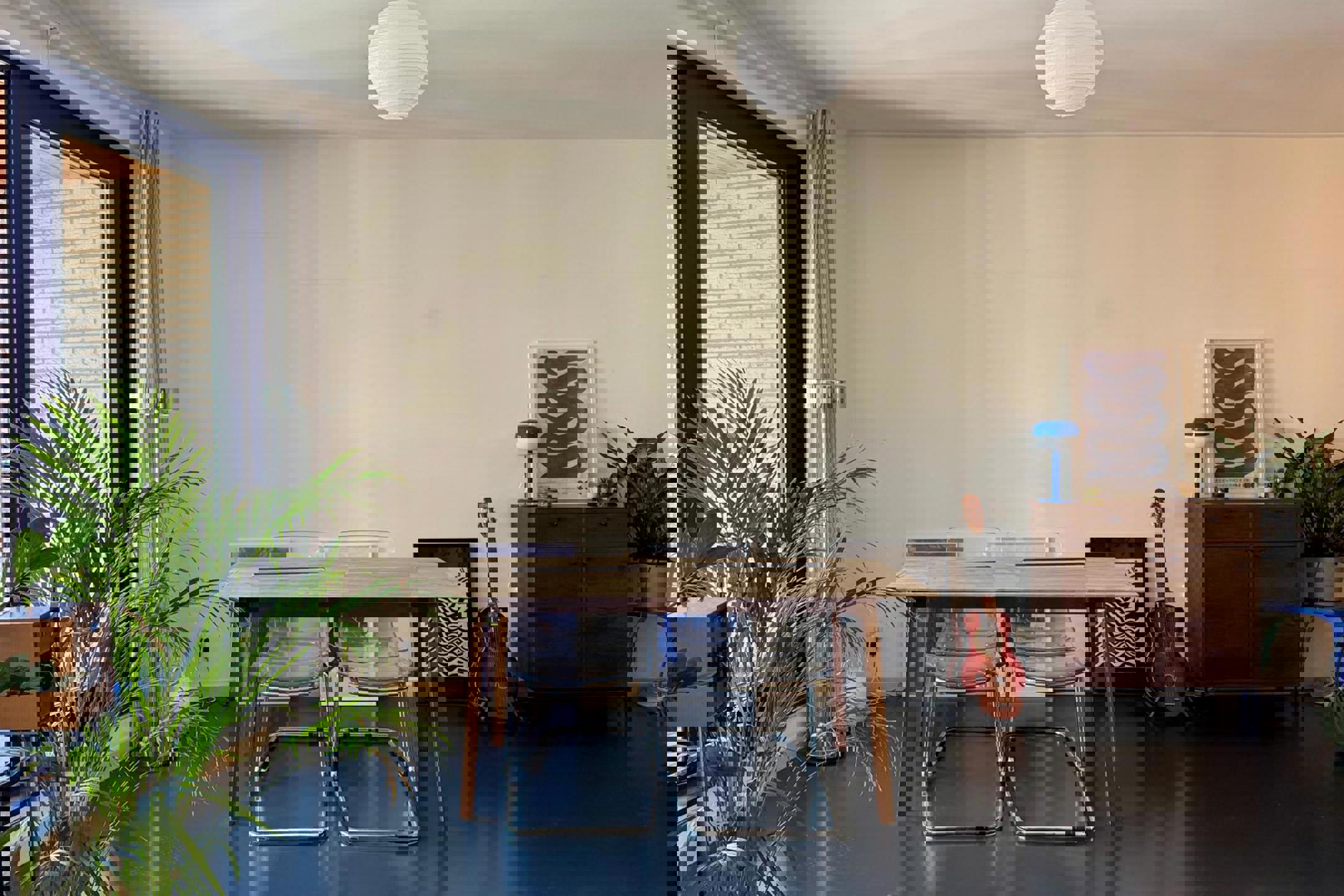 Wonen op het Zuid met licht, lucht en... een terrasje! - foto 2