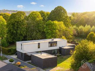 Op een ruim perceel van maar liefst 2266 m2 bevindt zich deze stijlvolle, moderne villa met een indrukwekkende bewoonbare oppervlakte van 325 m². Het betreft een (ver)nieuwbouw uit 2017, waarbij een stijlvolle, moderne villa werd gerealiseerd met hedendaags wooncomfort (EPC B) en een uitzonderlijk ruimtegevoel.Bij het betreden van de woning verwelkomt een ruime inkomhal u in een lichtrijk &amp; open leefgedeelte. De prachtige leefruimte met volledig geïnstalleerde open keuken, vloerverwarming &amp; een indrukwekkende plafondhoogte vormt het absolute hart van de woning. De gezellige zithoek met houthaard zorgt voor extra sfeer en warmte.Met maar liefst 6 slaapkamers, 2 badkamers &amp; een douchekamer, biedt deze woning een zee aan ruimte voor een groot gezin, thuiswerk of het ontvangen van gasten. Ook buiten is het volop genieten! De prachtige, groene tuin vormt een oase van rust en privacy, met alle ruimte om te ontspannen en van het buitenleven te genieten. Vooraan beschikt de woning bovendien over een praktische carport voor twee wagens en extra berging.De oprit en toegang tot de woning dienen nog verder aangelegd en afgewerkt te worden, wat de toekomstige eigenaar de mogelijkheid biedt om deze volledig naar eigen smaak en wensen aan te leggen.Mogelijkheid om aanpalend perceel bouwgrond mee aan te kopen.Een unieke combinatie van ruimte, architectuur, energiezuinigheid &amp; een schitterende groene omgeving.Graag een bezoek? contacteer me op: Caroline@immobeguin.be