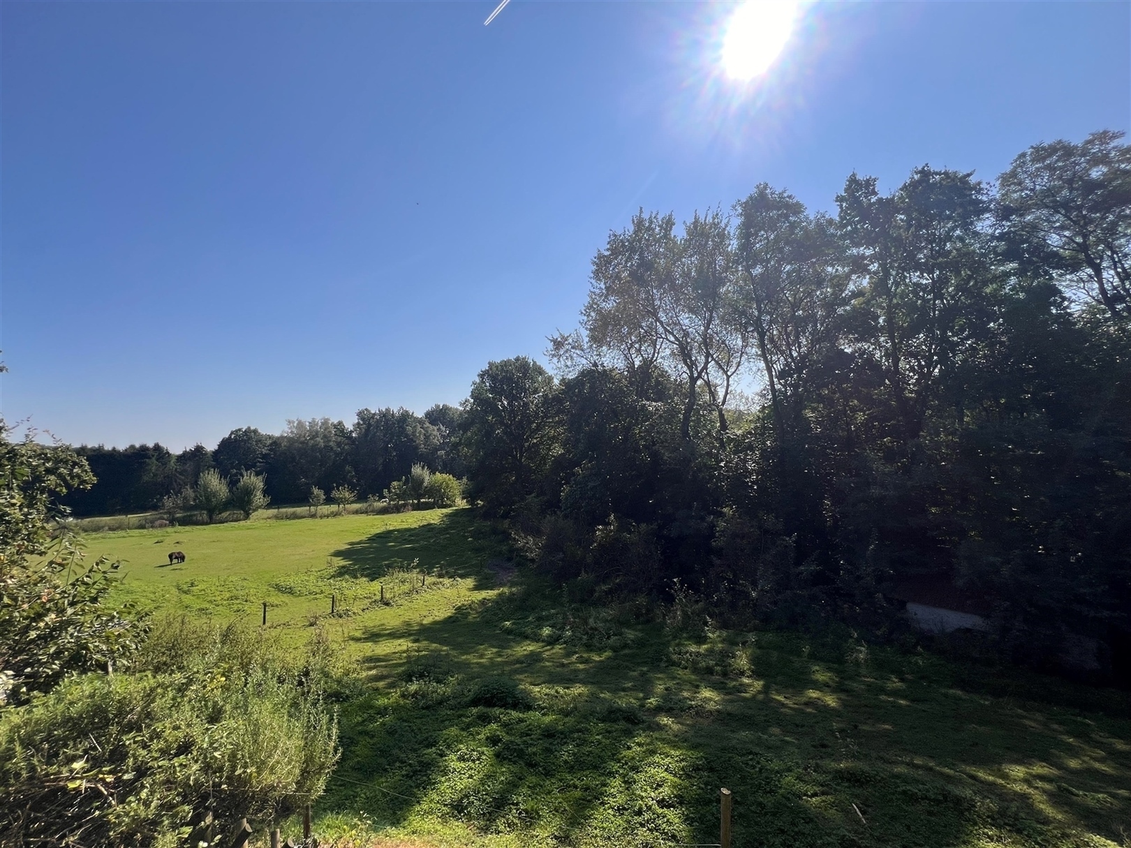 Schitterend gelegen landhuis met 5 slpks - foto 2