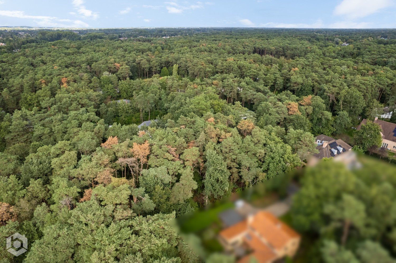 RUIME BOUWGROND VAN 2.690 M² VOOR OPEN BEBOUWING IN BOSRIJKE VILLABUURT - foto 4