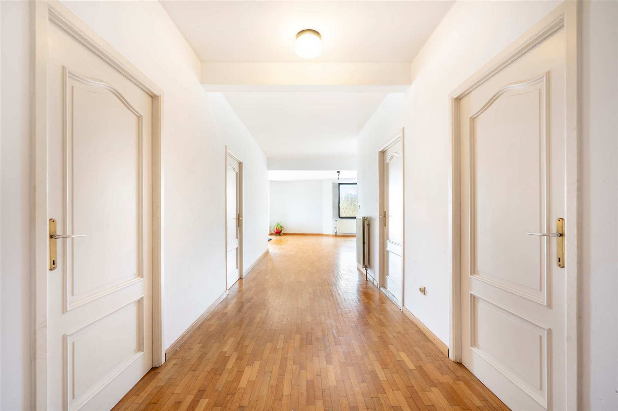 Wonen in de Pullhofbuurt - foto 5