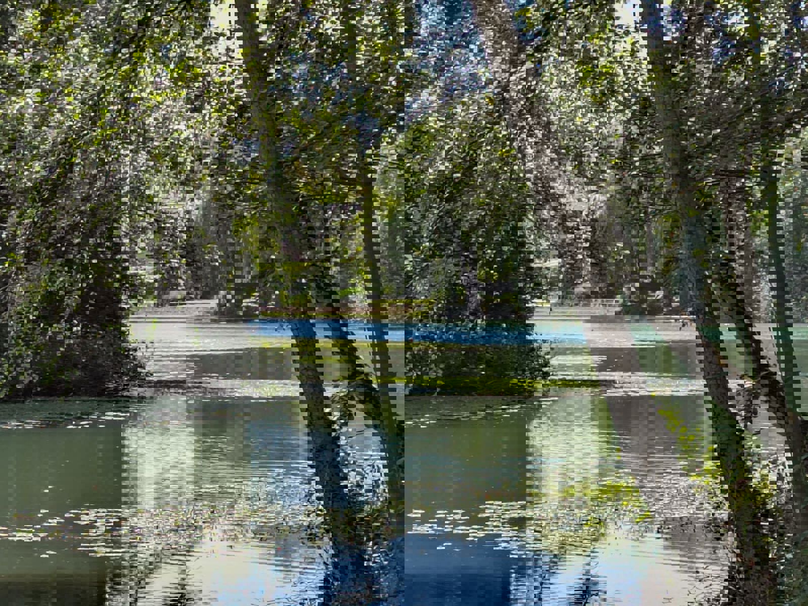 Exclusieve villagrond met zicht op het meer van Keerbergen - foto 1