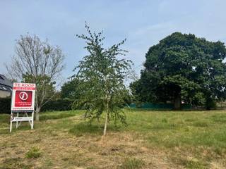 Terrain à vendre à Holsbeek