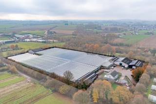 Bio gecertificeerd tuinbouwbedrijf te koop te Lennik met circa 16.000 m² verwarmde serres.Serres voorzien van betonpaden, beregening, verwarming via...