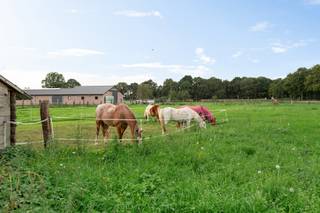 <h3>Ruime gezinswoning met 5 slaapkamers, garage en grote weide in Ravels</h3>
<p><strong>Op zoek naar ruimte, rust én mogelijkheden? Dan is deze ruime gezinswoning in Ravels absoluut het ontdekken waard.</strong></p>
<p>Deze degelijk gebouwde woning beschikt over <strong>maar liefst 5 slaapkamers</strong>, een <strong>aparte garage</strong> en een bijzonder ruime <strong>weide achter de woning</strong>. Dankzij de combinatie van de royale woonoppervlakte en de grote buitenruimte biedt deze eigendom tal van mogelijkheden voor gezinnen en liefhebbers van het buitenleven.</p>
<p>De woning is <strong>stevig en degelijk gebouwd</strong>, maar dient vandaag verder gemoderniseerd te worden. Dit biedt net de kans om de woning volledig naar eigen smaak en wensen in te richten en om er een hedendaagse, comfortabele thuis van te maken.</p>
<h3>Ideaal voor dierenliefhebbers</h3>
<p>Een van de absolute troeven van deze eigendom is de <strong>grote weide</strong>. Deze maakt de woning bijzonder interessant voor wie graag paarden, alpaca's, pony's of andere dieren wil houden. Ook wie simpelweg droomt van veel ruimte rondom de woning, een grote tuin of een landelijke buitenbeleving, vindt hier heel wat potentieel.</p>
<p>Achteraan geniet u bovendien van een <strong>prachtig vrij zicht over de open omgeving</strong>. Een plek waar rust en ruimte centraal staan, terwijl u toch geniet van alle praktische voordelen van een centrale ligging.</p>
<h3>Centrale ligging in Ravels</h3>
<p>De woning bevindt zich <strong>centraal in Ravels</strong>, waardoor winkels, scholen, horeca en andere voorzieningen vlot bereikbaar zijn. Tegelijkertijd zorgt de ligging voor een aangename rust en een open karakter aan de achterzijde.</p>
<p><strong>De combinatie van 5 slaapkamers, een aparte garage, een grote weide, een vrij uitzicht en een centrale ligging maakt deze woning bijzonder veelzijdig en uniek.</strong></p>
<p>Een woning met een <strong>solide basis en vooral heel veel potentieel</strong> — ideaal voor wie op zoek is naar ruimte en zelf een woning wil creëren die volledig aansluit bij zijn eigen wensen.</p>
<p><strong>Meer info of een bezoek? Twijfel dan niet om ons te contacteren.<br /><span>Oppervlakten zijn indicatief en conform EPC</span><br /></strong></p>