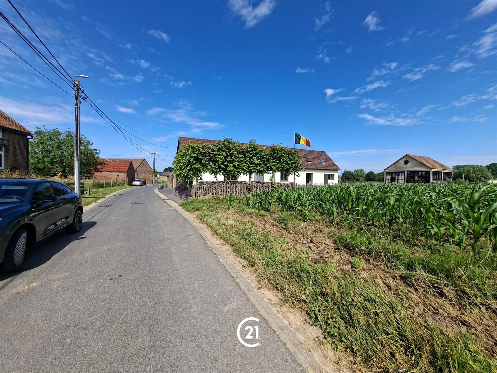 Landbouwgrond 46are, bereikbaar vanop straat - foto 4