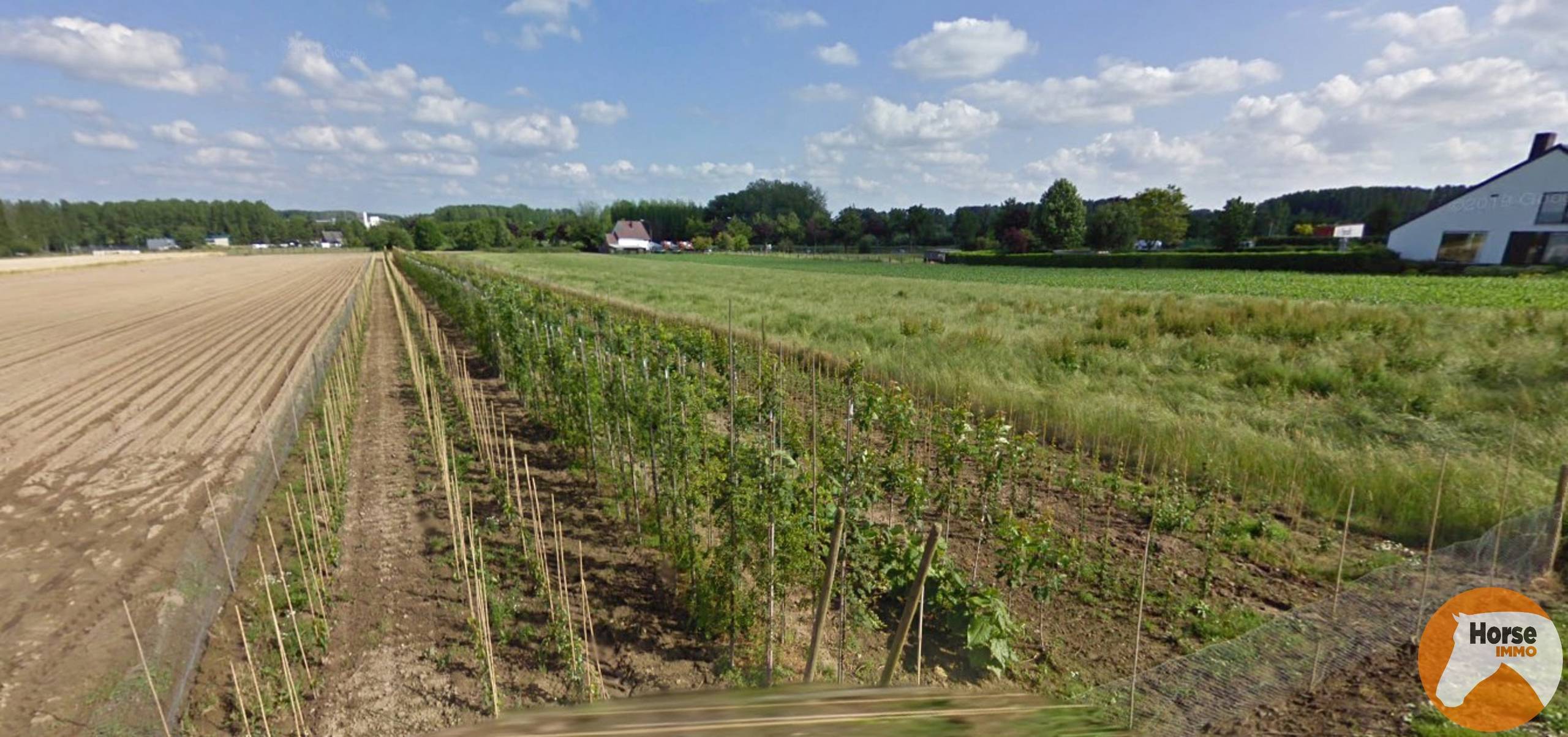 Terrain à vendre à Lede - photo 1