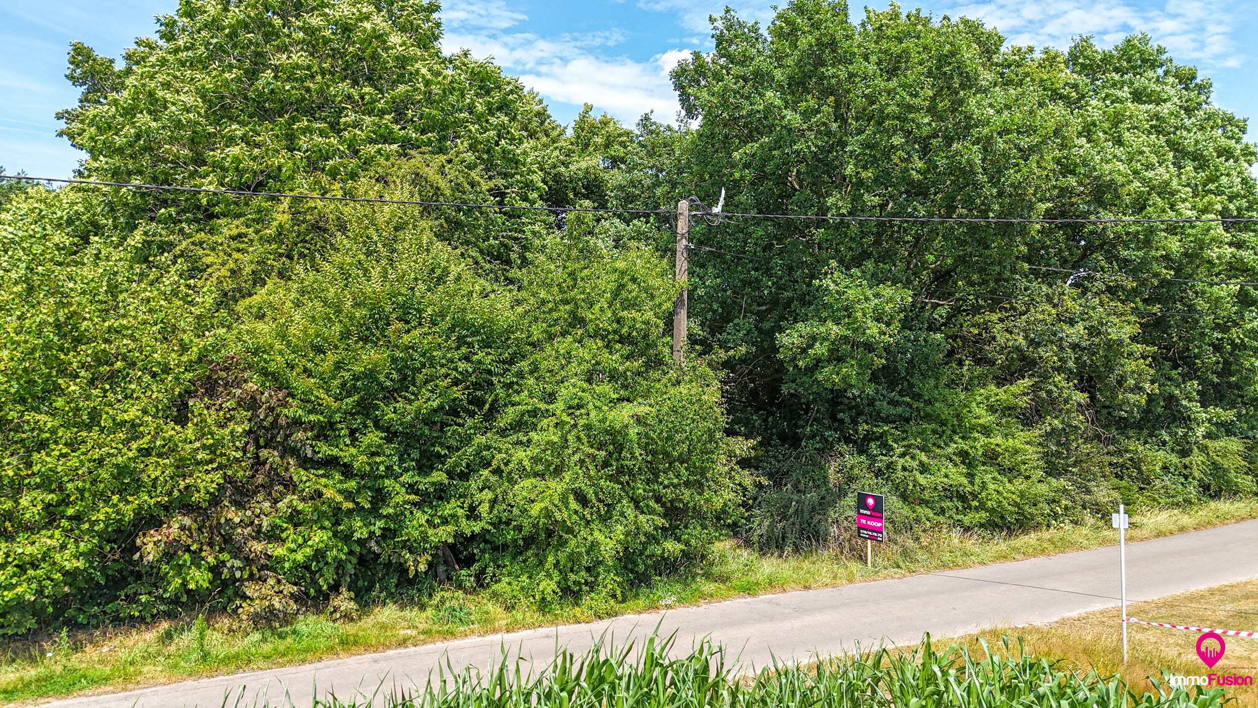 Bouwgrond op toplocatie met grondopp. van 5a91ca in Hechtel! - foto 4