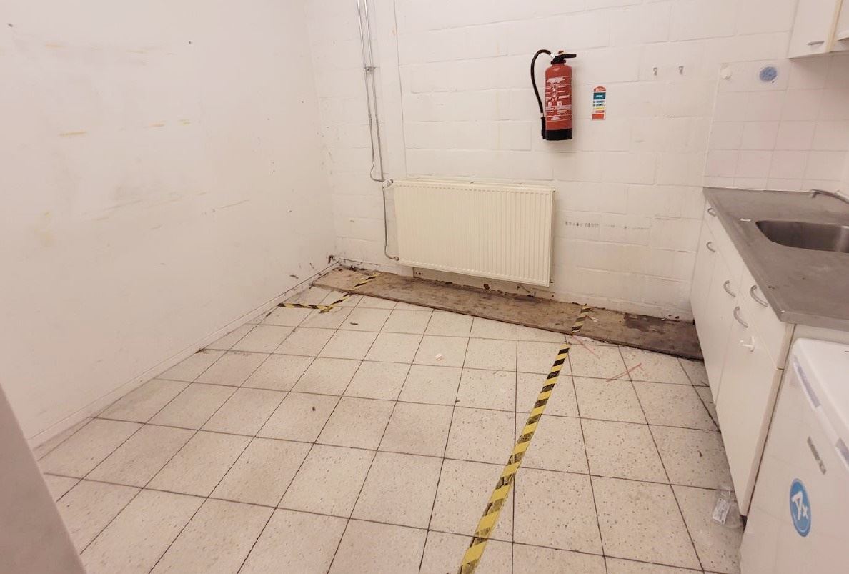 RUIM COMMERCIEEL GELIJKVLOERS PAUWENGRAAF - foto 4