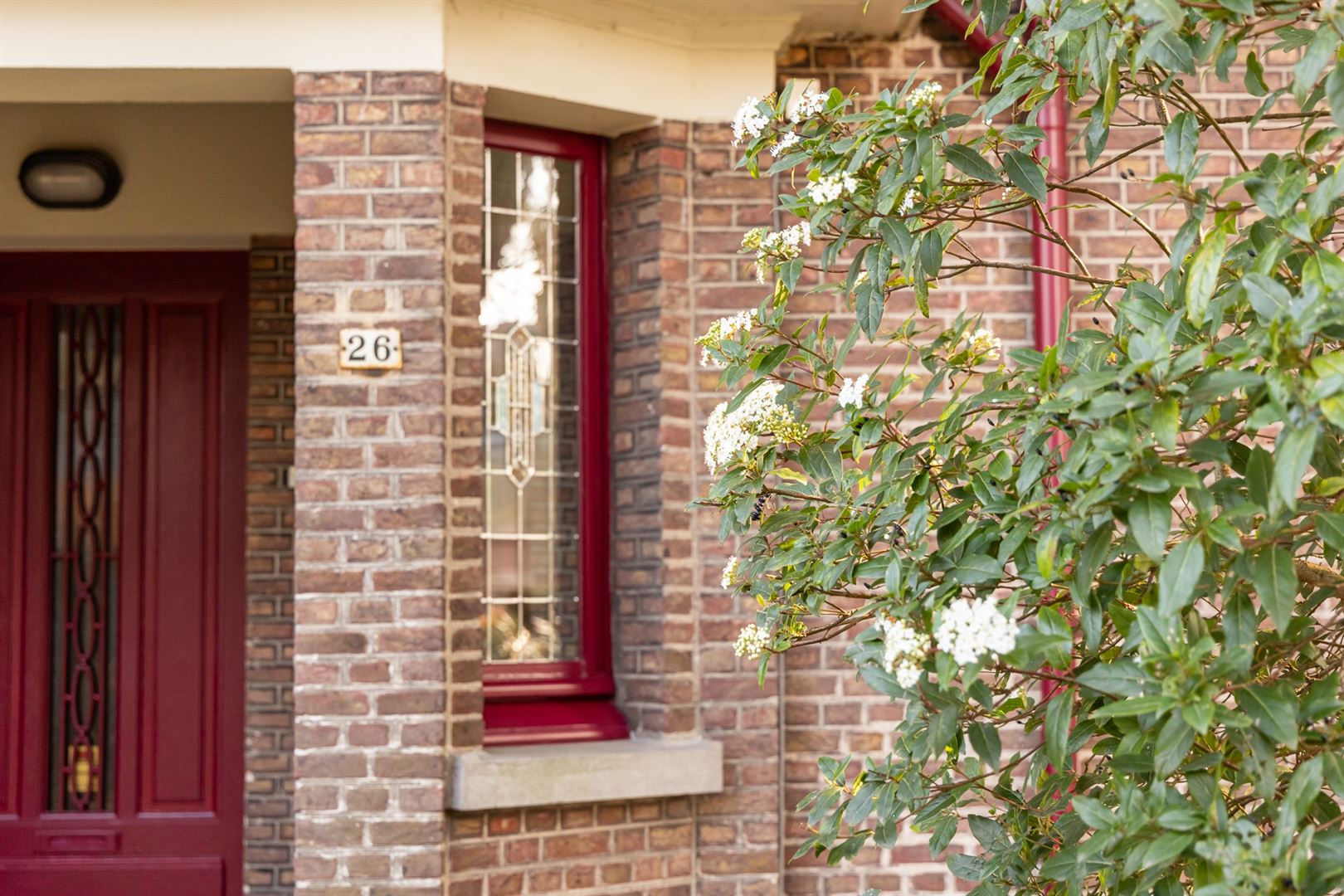 Villa Zonneschijn in het centrum van Ranst - foto 2