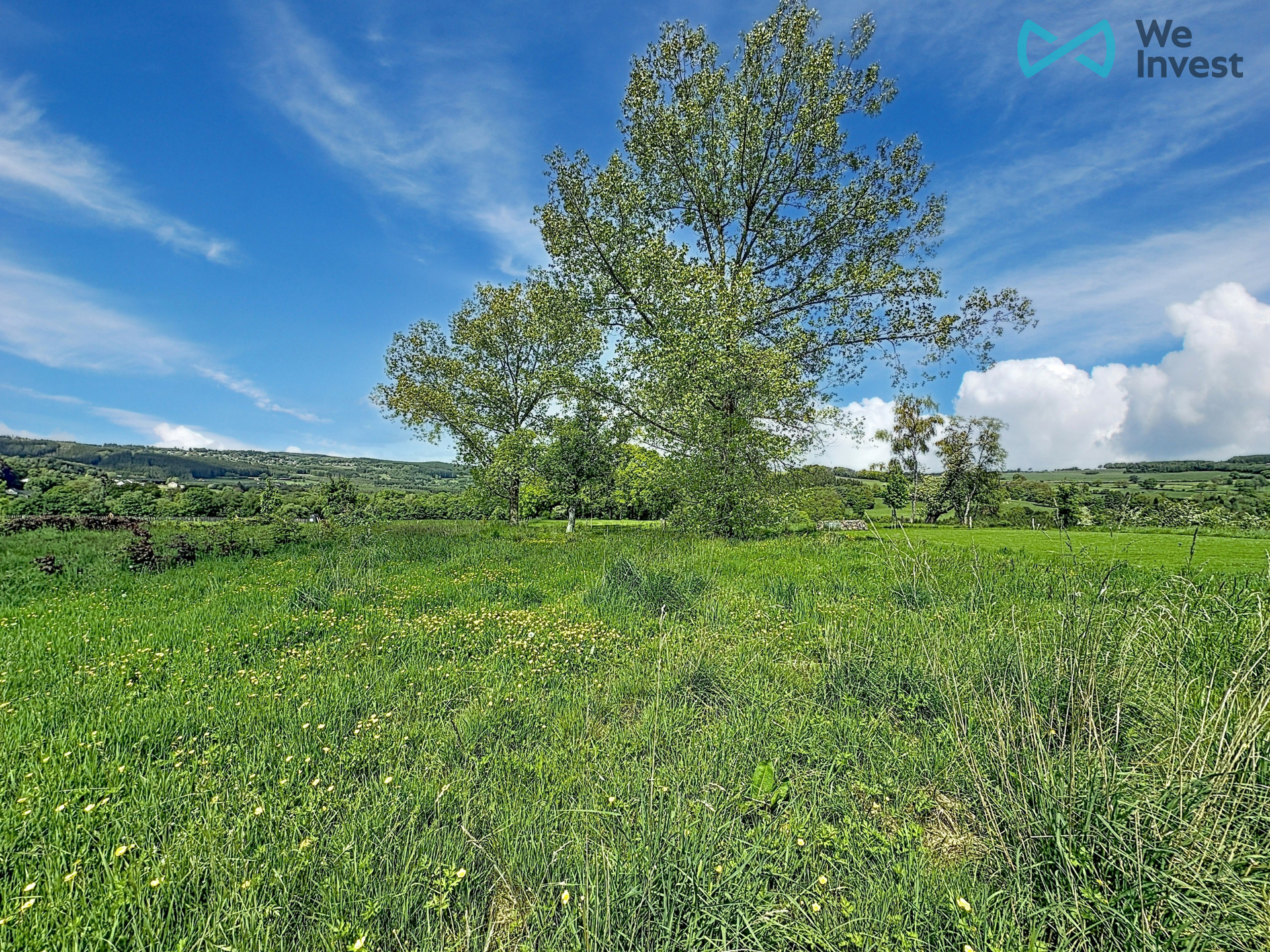 Land for sale in Malmedy - photo 4