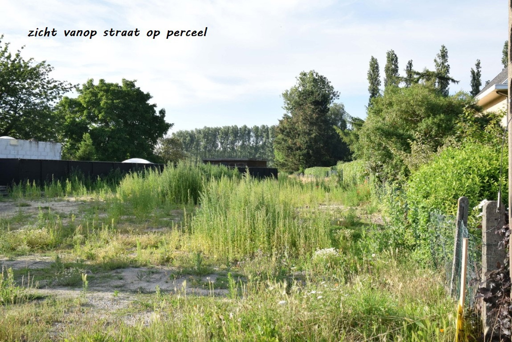 Energiezuinige woning in Lippelo – Lot 1 - foto 2