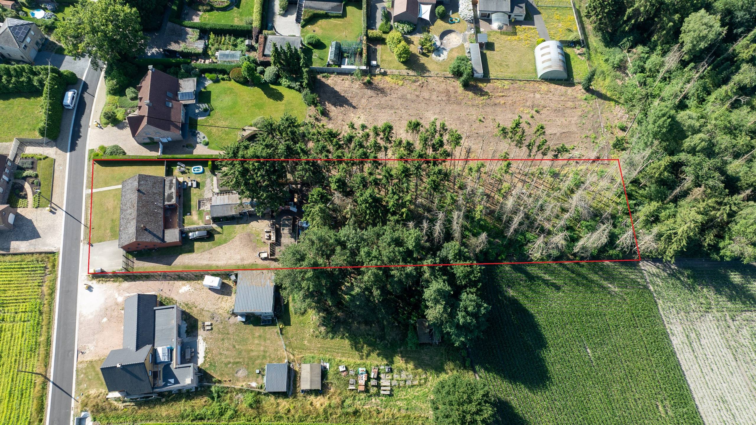 Te renoveren landelijke woning te Mol op 3.539m² - foto 2