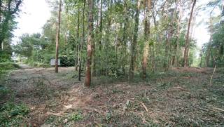 Rustig en residentieel gelegen bouwgrond van 31a10ca met aanpalende bosgrond van 37a50ca. Gelegen op het einde van een zijtak van de...