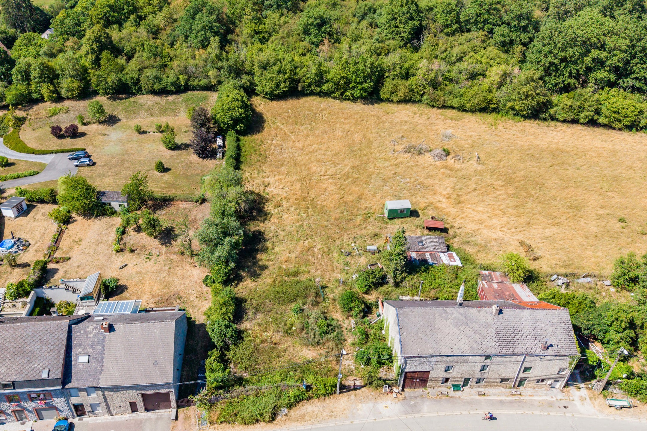 Land for sale in Dourbes - photo 4