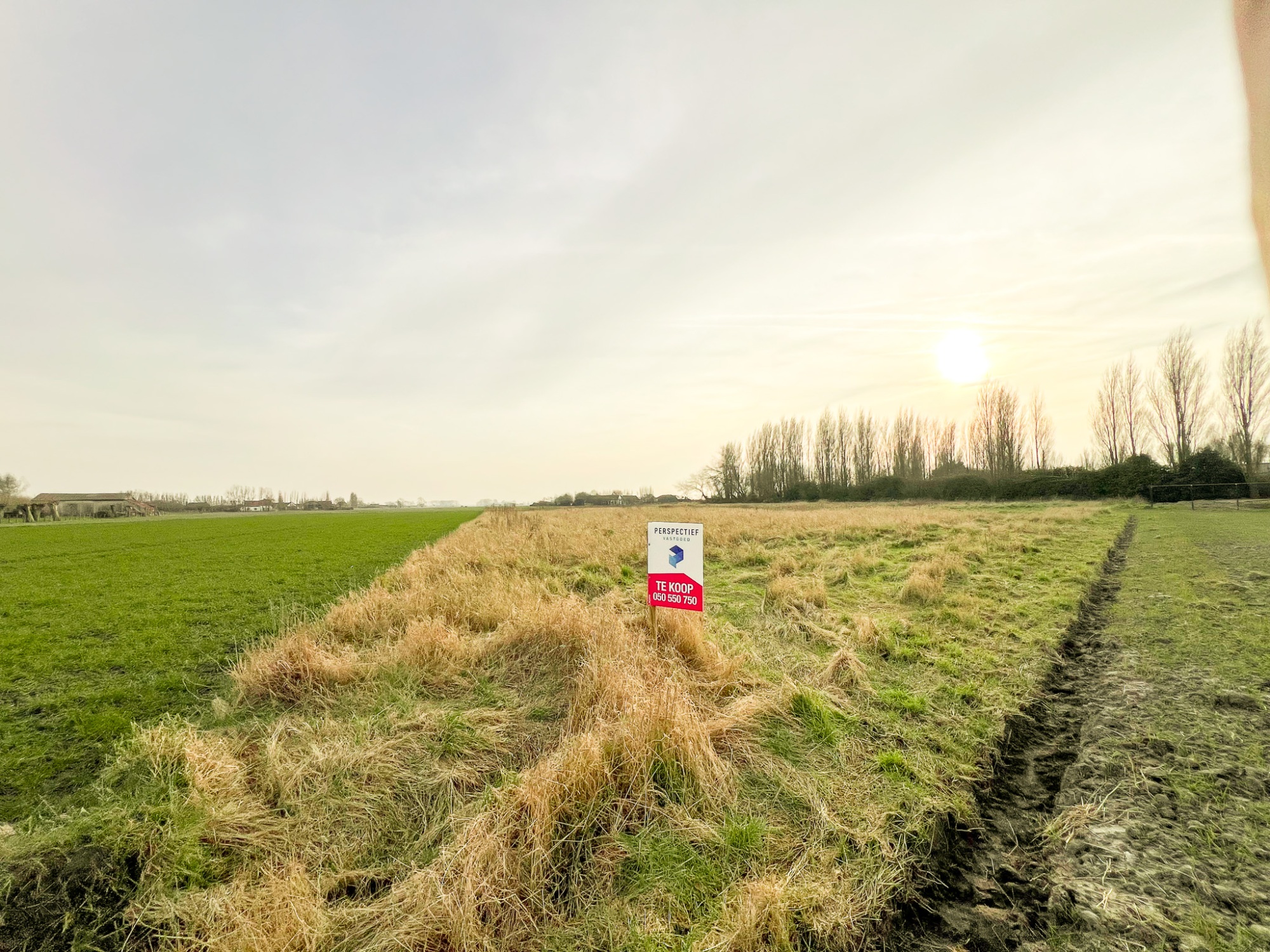 4 PERCELEN LANDBOUWGROND met een TOTALE oppervlakte van 11.340 m² - foto 4