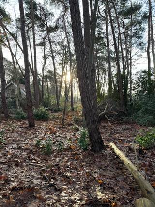 Terrain à vendre à Zoersel