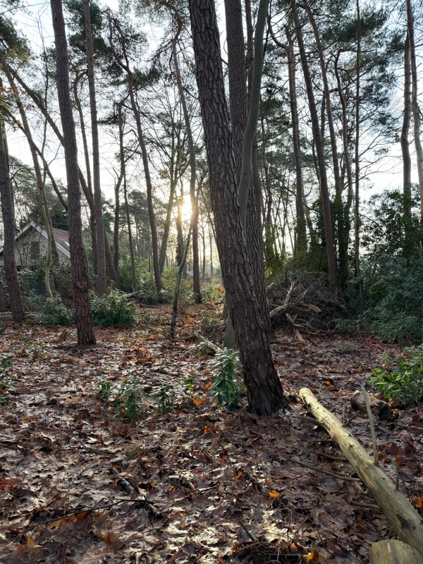 Terrain à vendre à Zoersel - photo 2