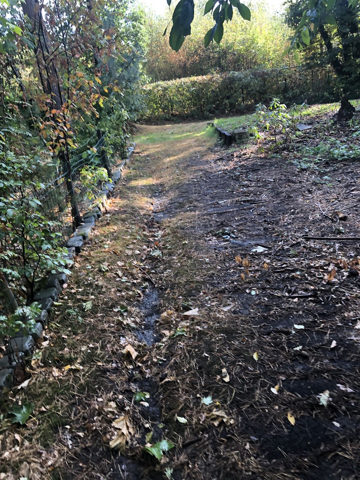 recreatief terrein - foto 1