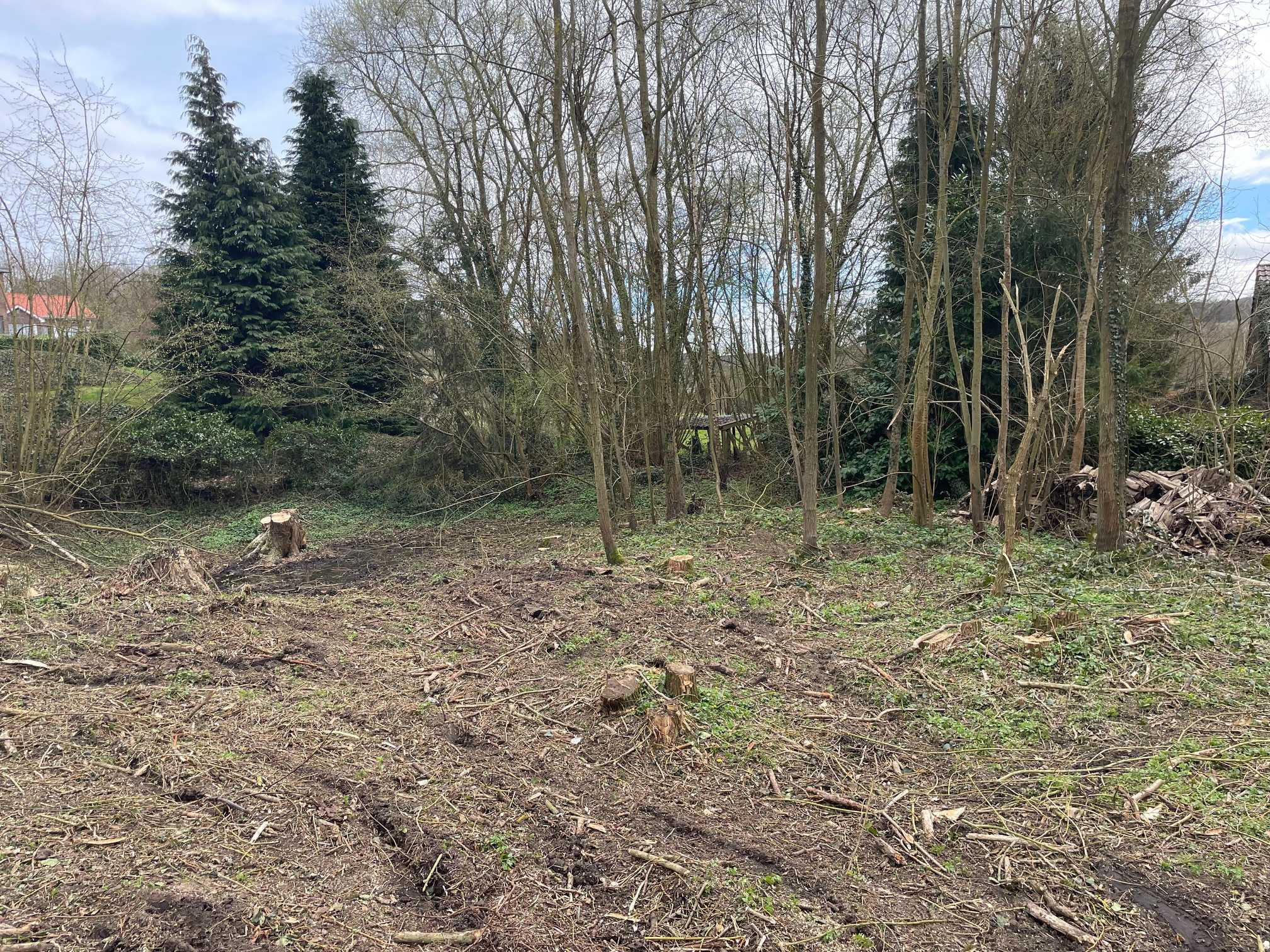 Grond te koop in Dworp - foto 2