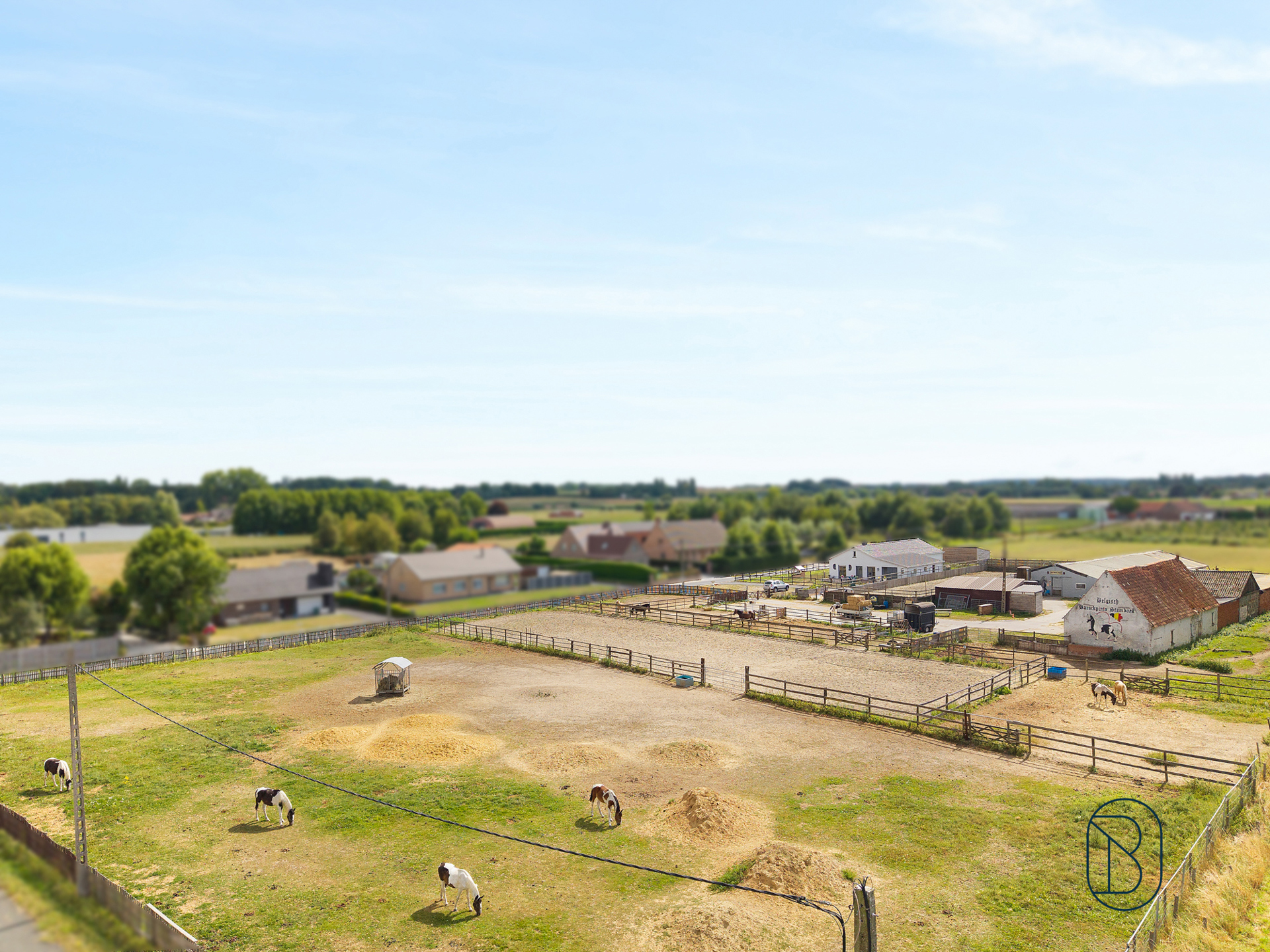 Strategisch gelegen paardenhoeve op 2 hectare - foto 2