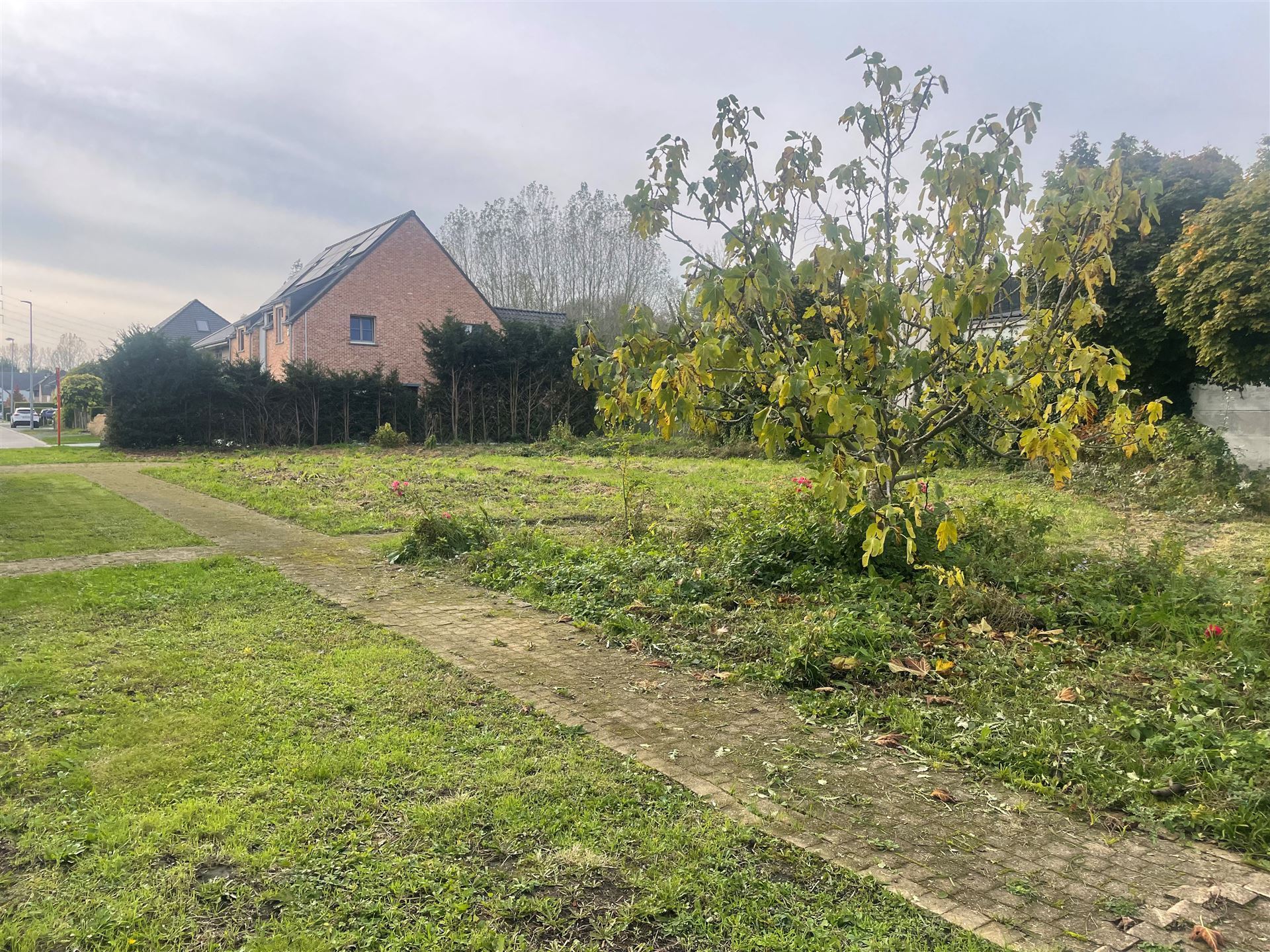 Bouwgrond voor open bebouwing - foto 4