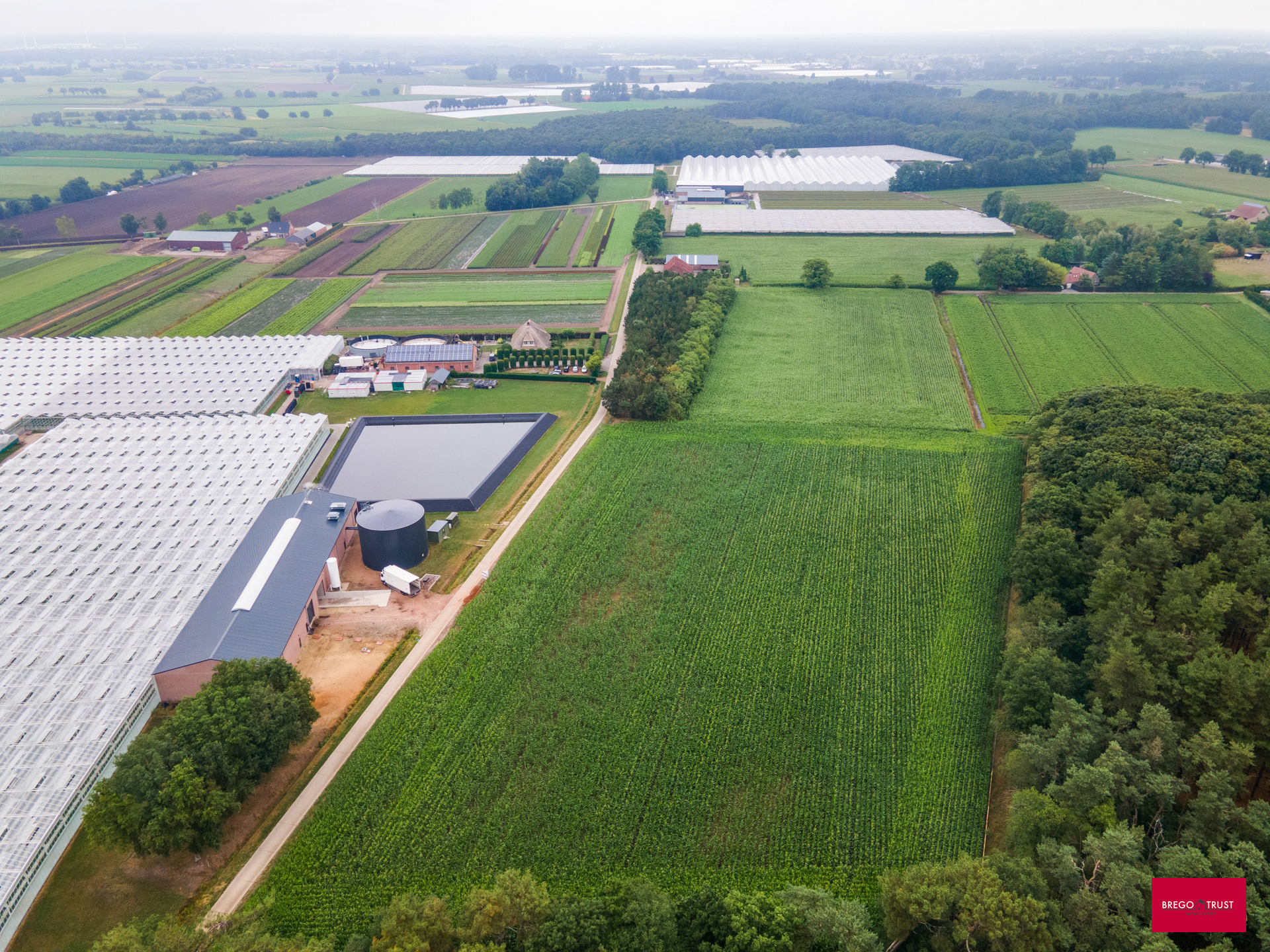 Land for sale in Hoogstraten - photo 5