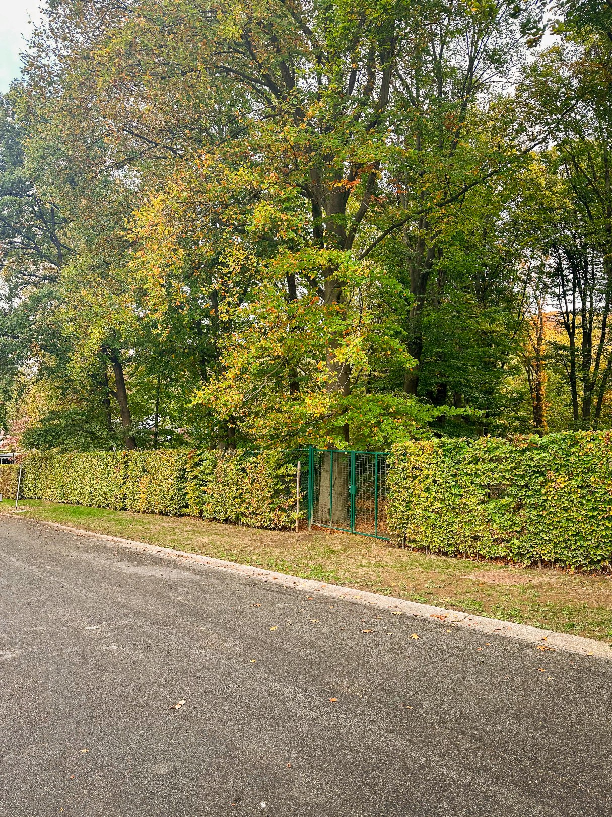 Prachtig perceel op unieke locatie! - foto 2