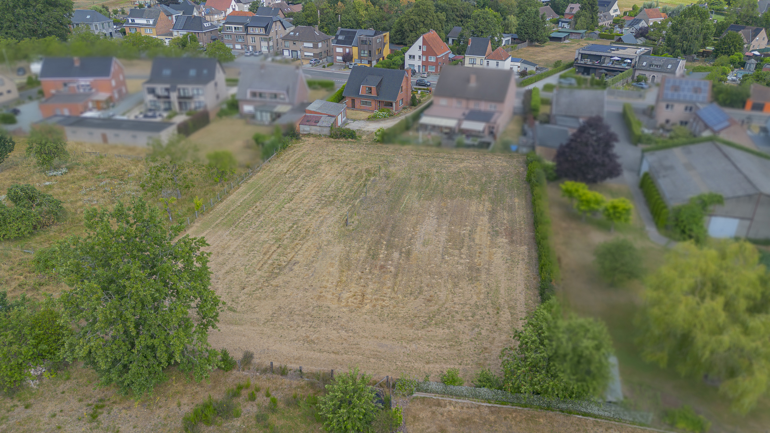 WETTEREN - Te renoveren woning met weide op ca. 38are - foto 5