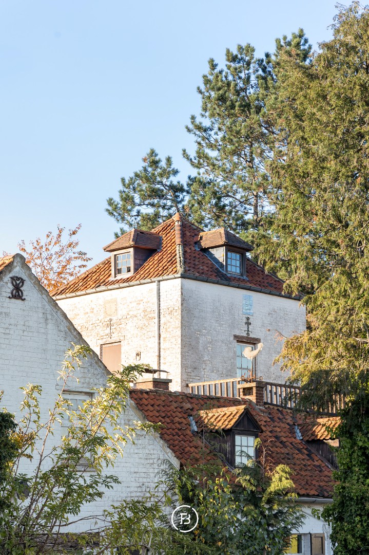 Unieke renovatie opportuniteit - foto 3